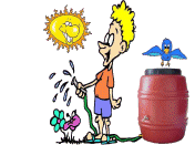 Rain Barrels and More